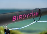 Birdyfish-race-13